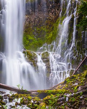 Waterfall Proxy Falls, Oregon by Henk Meijer Photography