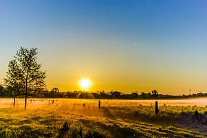 Frühmorgens