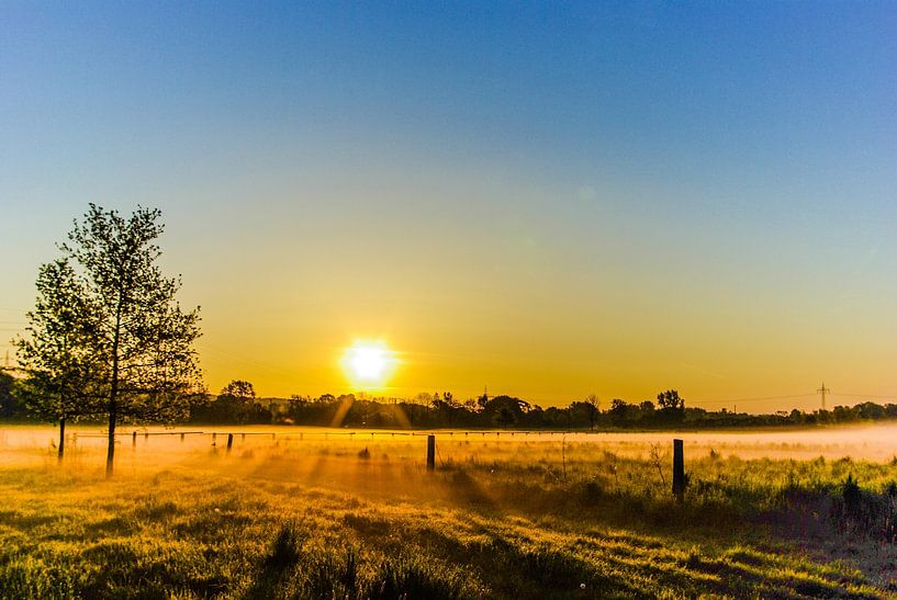 Tôt le matin par Norbert Sülzner