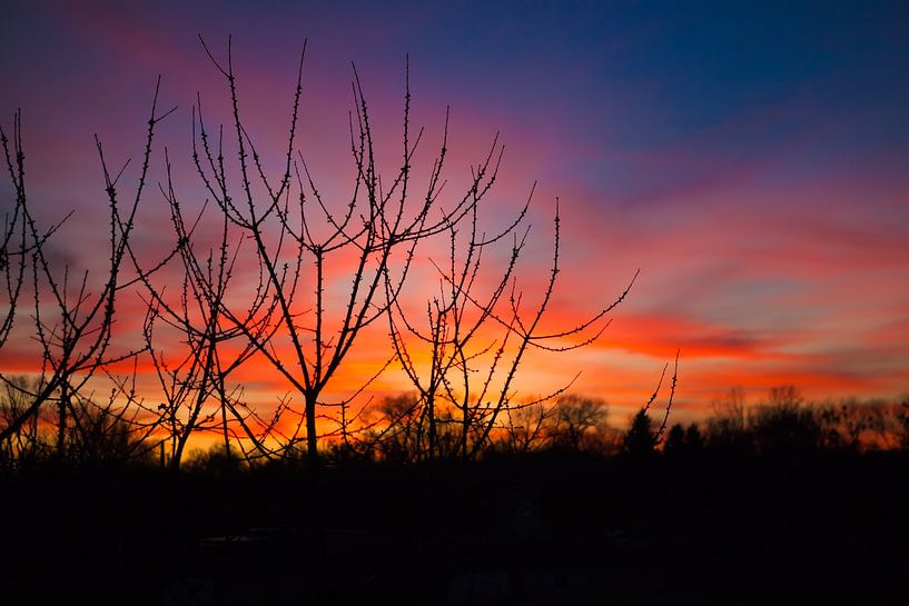 Zonsondergang van t.ART