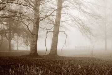 Nebel am Herbsttag von Yvonne Smits