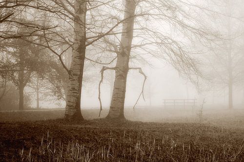 Misty autumn day