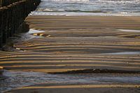 L'ombre des épis en bois