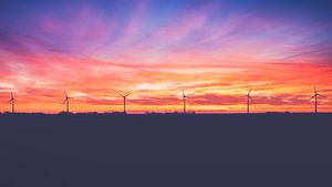 Coucher de soleil dans le Noordoostpolder