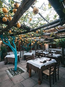 Italienisches Restaurant auf Procida unter einer Pergola mit Zitronenbäumen