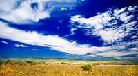 Blauwe lucht in het Zuid Afrikaanse landschap: Gods window, Motlatse Canyon Provincial Nature Reserv