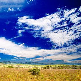 Blauwe lucht in het Zuid Afrikaanse landschap: Gods window, Motlatse Canyon Provincial Nature Reserv von Jeroen Bos