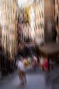 Vernazza van Ingrid Van Damme fotografie thumbnail
