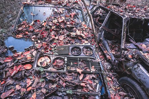 Urbex Vieilles voitures rouillées