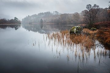 Herfstkleuren bij Loch Trool in Schotland van Michel Seelen