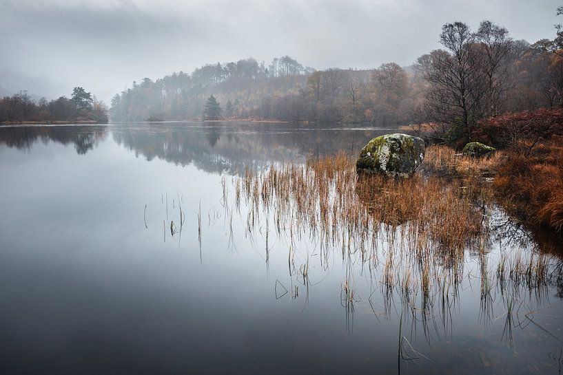 Herbstfarben am Loch Trool in Schottland von Michel Seelen