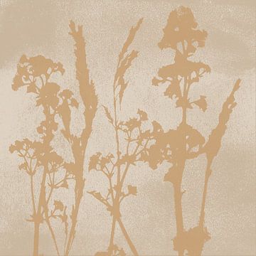 Summer flowers. Wabi-sabi botanical art in sand, white, ochre by Dina Dankers