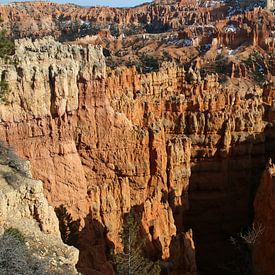 Bryce Canyon National Park by Matthias Brix