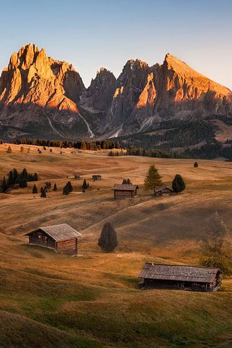 Alpe de Siusi dans les Dolomites sur Voss photographie