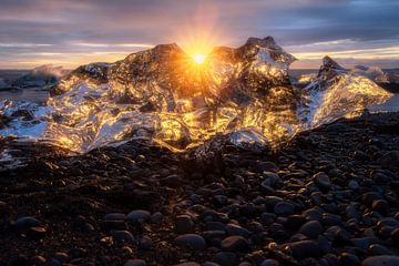 Sun star in the ice block by Roy Poots