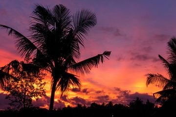 Zonsondergang op Bali met palmbomen van road to aloha