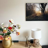 Photo de nos clients: brouillard-soleil-arbres par foto's van gijs, sur ArtFrame