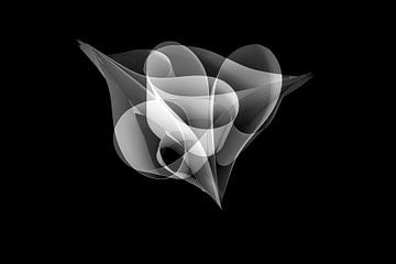 draagvlak van Willem  Overkleeft