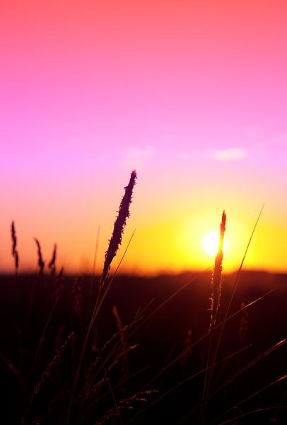 Sunset by Bo Valentino