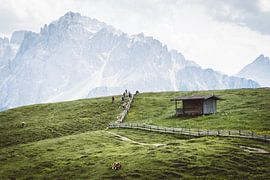 Bicycle mountain adventure calls out by Alberto Schulzini