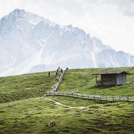 Bicycle mountain adventure calls out by Alberto Schulzini