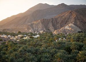 Green oasis of palm trees in the desert of Oman by Teun Janssen