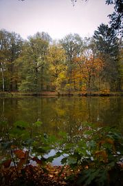 Herbstliche Gedanken von Alexander van der Molen