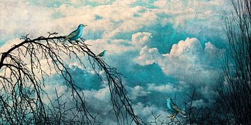 HEAVENLY BIRDS III-B1-Panorama