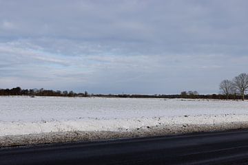 Een zonnige winterdag op de Ems van Bianca Meyering Fotos - BMF