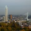 La ligne d'horizon de Rotterdam à la lumière du jour sur Nynke Altenburg