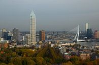 Skyline Rotterdam in daglicht van Nynke Altenburg thumbnail