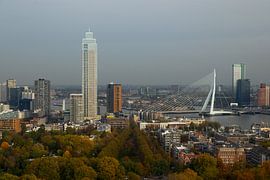 Skyline von Rotterdam bei Tageslicht von Nynke Altenburg