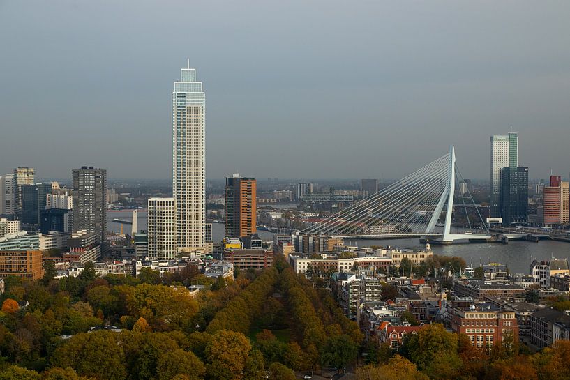 Skyline Rotterdam in daglicht van Nynke Altenburg