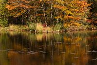 Herfst