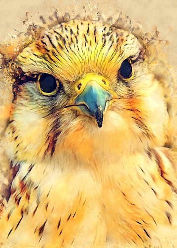 Aquarelle d'oiseau faucon #falcon