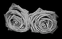 Roses silver
