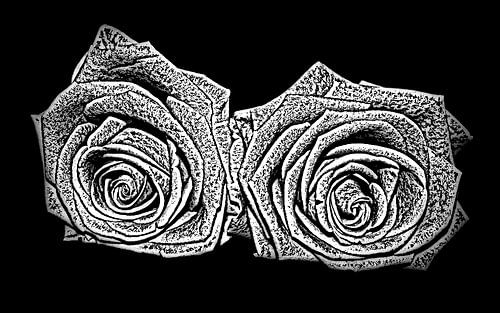 Roses silver