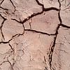 Barsten in droog landschap met zachte beige, aardetinten van Denise Tiggelman