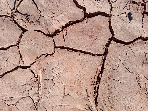 Barsten in droog landschap met zachte beige, aardetinten