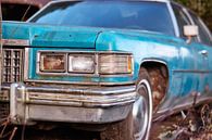 Cadillac - Fleetwood van David Bleeker thumbnail