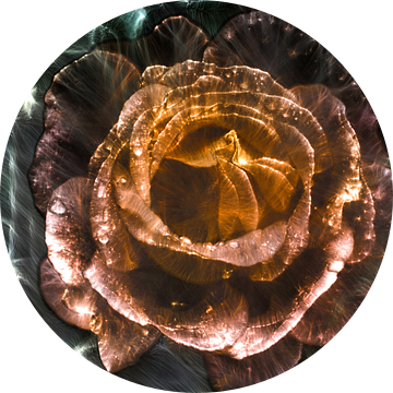 Kirlian veld foto van een roos in close-up van MPfoto71