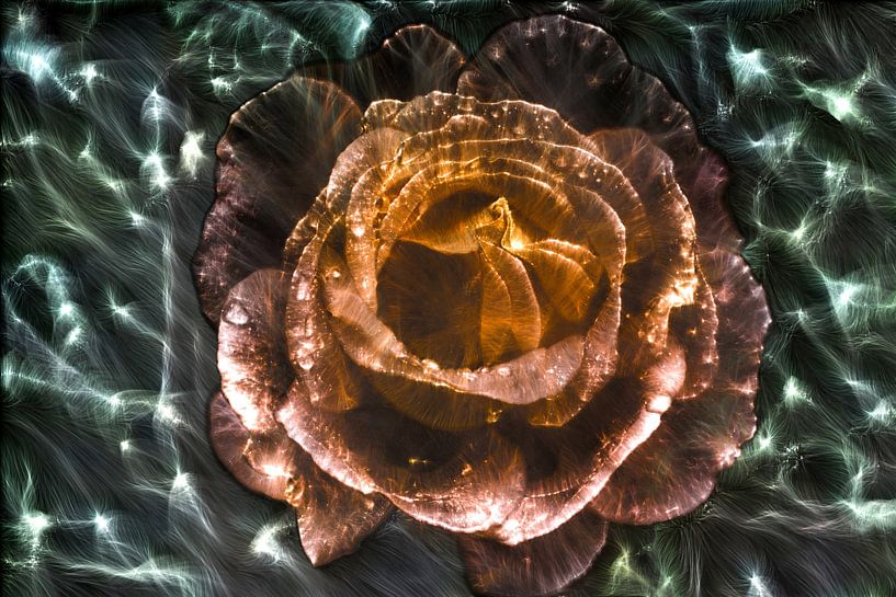 Kirlian veld foto van een roos in close-up van MPfoto71
