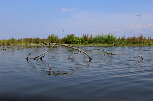 Markerwadden in het Markermeer
