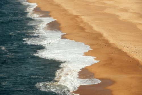 Au bord de la mer