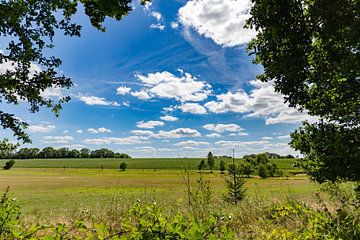 Tijdloos Perspectief: Een Doorkijkje naar het Groene Weiland en Landbouw in het Duitse Landschap van Remco Ditmar