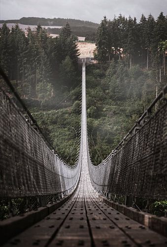 Geierlay in full view