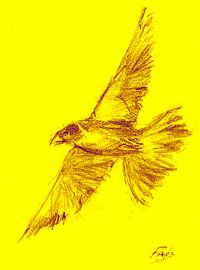 Oiseau