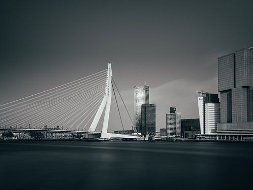 Skyline van Rotterdam met Erasmusbrug