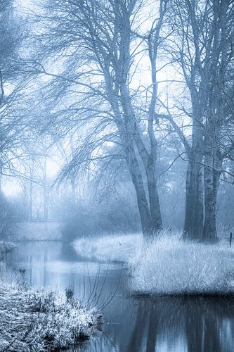 Mystiek bos en beek (portret)