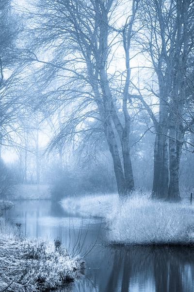 Mystical forest and stream (portrait) by Fotografie Jeronimo
